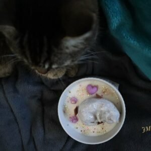 compagnon chat (300g)