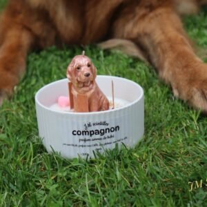 compagnon (300g)