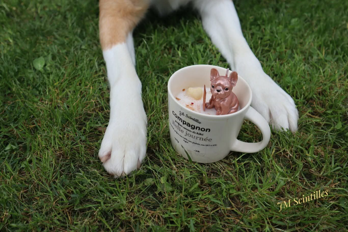 Compagnon chien (205g)