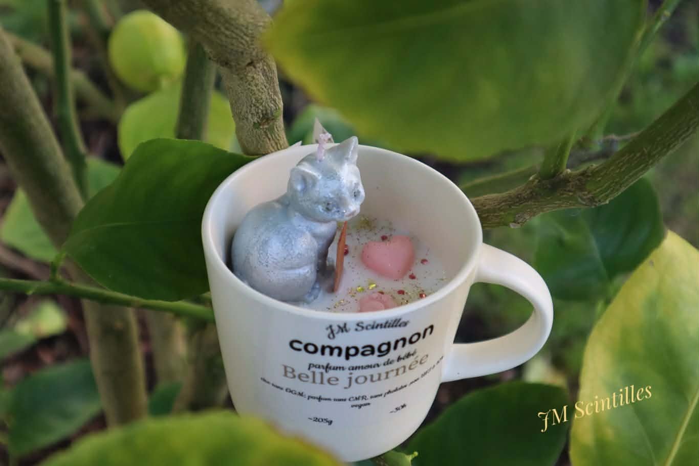 Compagnon chat (205g)