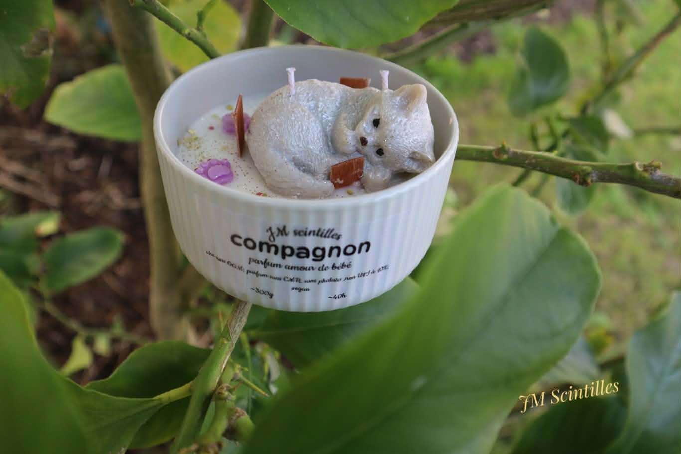 Compagnon chat (300g)