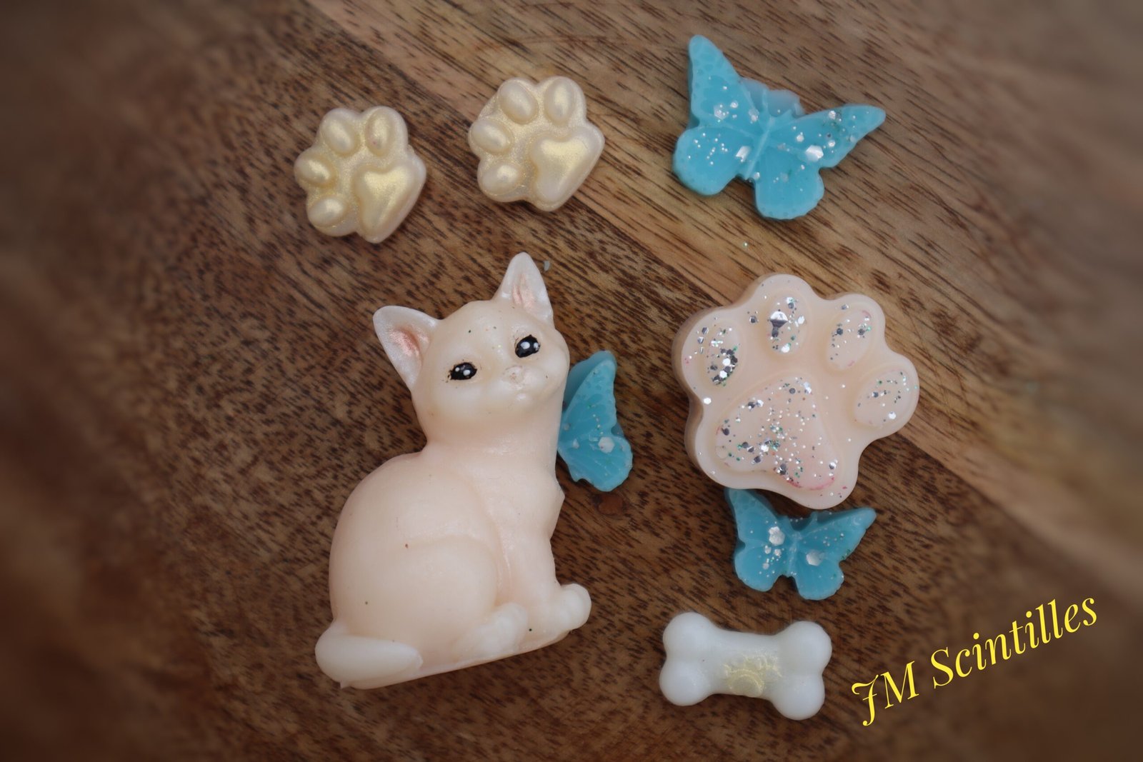 Fondant Compagnon Chat (55g)